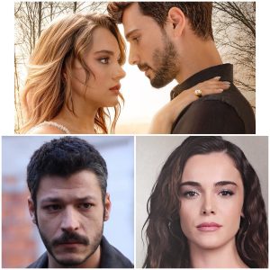 WhatsApp Image 2024-09-27 at 19.46.58