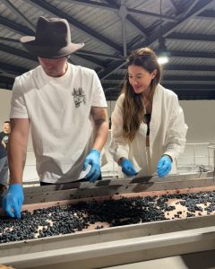 başak dizer kıvanç tatlıtuğ