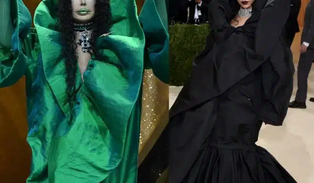 InShot_20241211_110949194