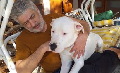 timur_turanbayburt_1601850428_2412818733683608140_217862359