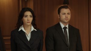 Teşkilat aybüke