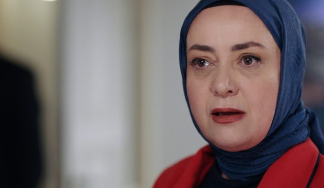 Kızılcık Şerbeti (9) pembe
