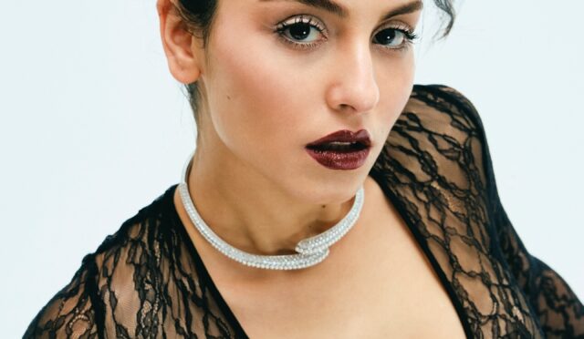 rojbinerdn_1734280982_3523726734084068927_1517985977