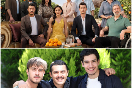 Gönül Dağı ve Mercan Köşk'ün reyting sonuçları