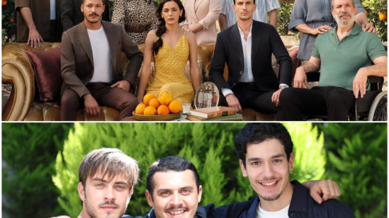 Gönül Dağı ve Mercan Köşk’ün reyting sonuçları