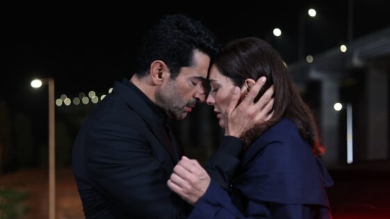 A.B.İ. dizisi final yapıyor